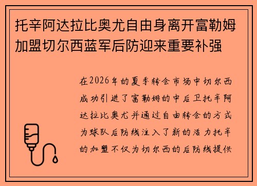 托辛阿达拉比奥尤自由身离开富勒姆加盟切尔西蓝军后防迎来重要补强 托辛阿达拉比奥尤自由身离开富勒姆加盟切尔西蓝军后防迎来重要补强